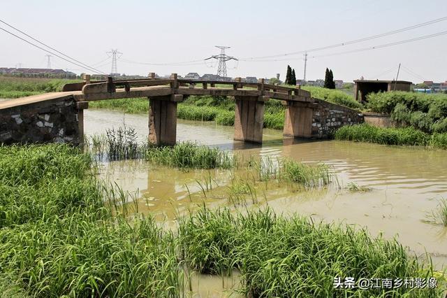 ������֯���������һ��