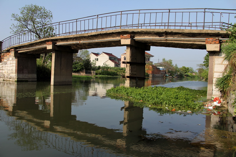 ������֯���򶫶���̩����