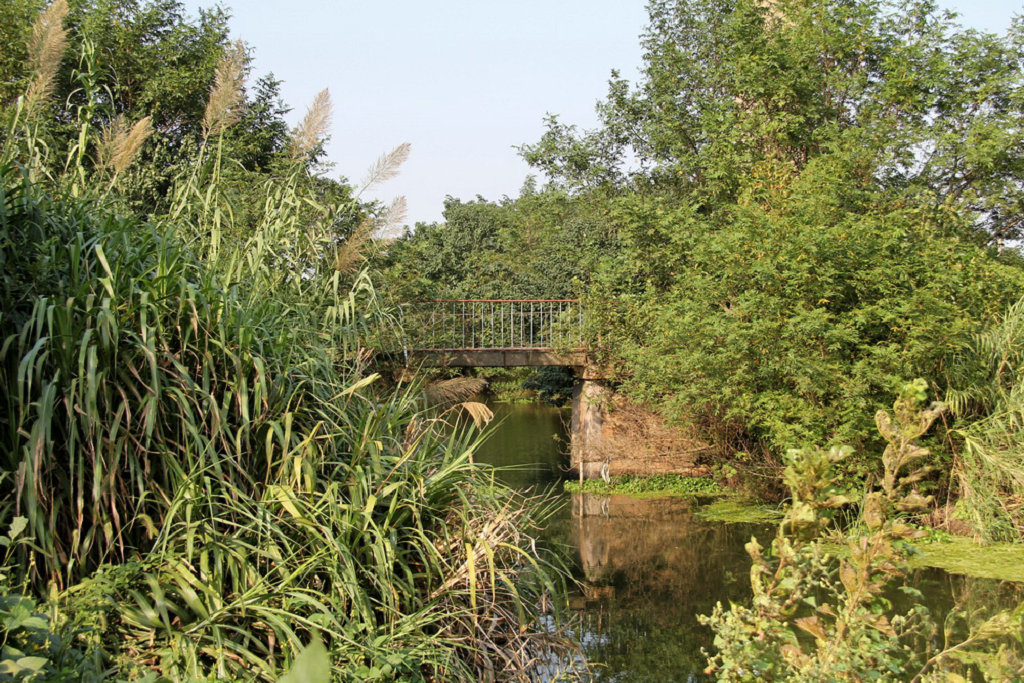 ������֯�����Ӵ��Ƿ���