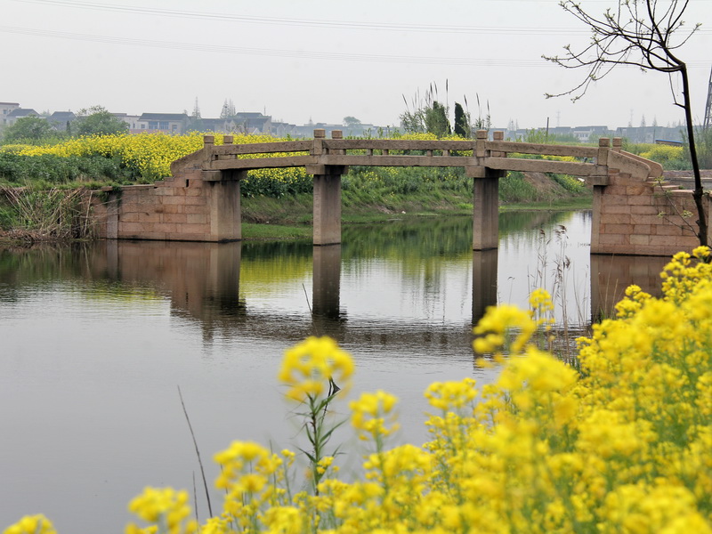 ������֯�����۴���������