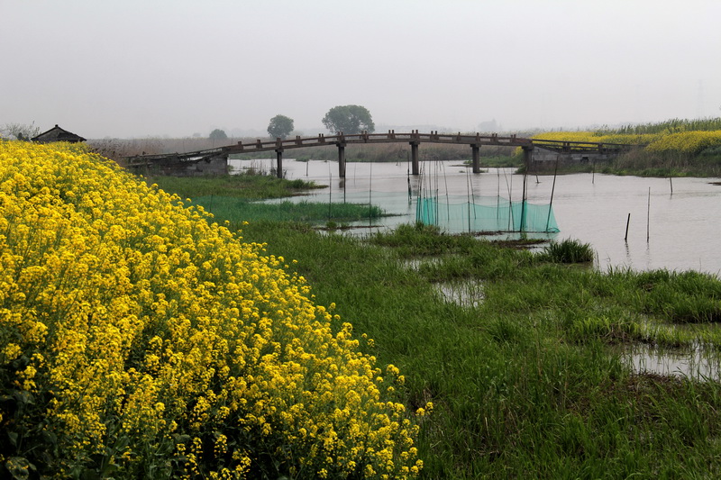 ������֯�����۴�̫ƽ����