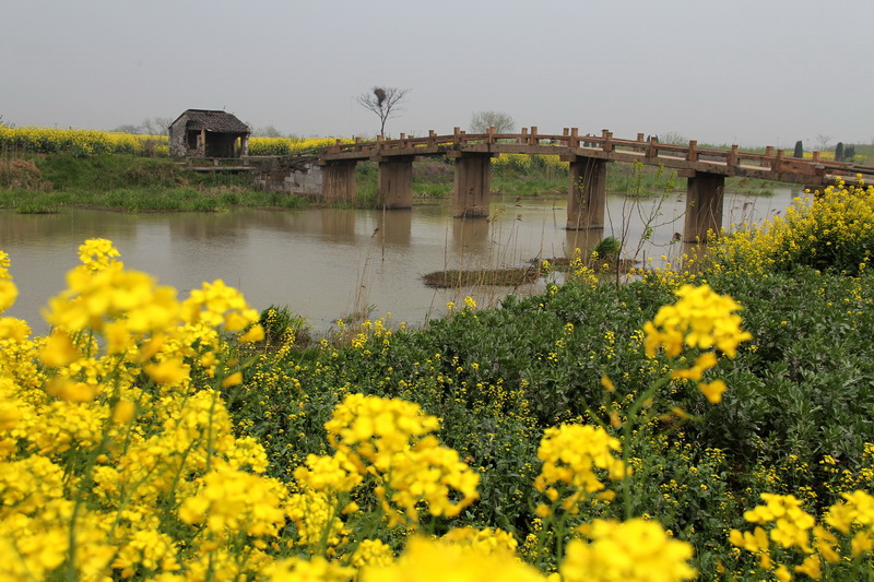 ������֯�����۴�̫ƽ����