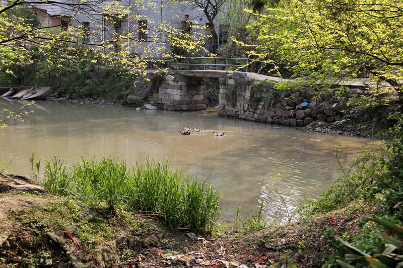 ������֯���������ϲ��