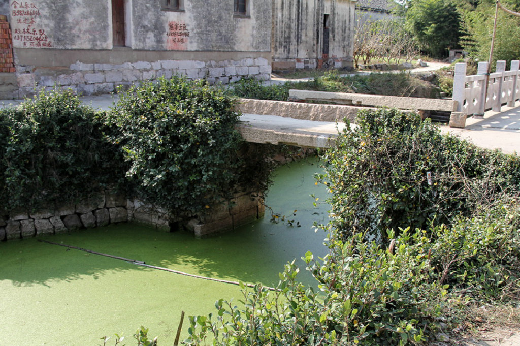 ������֯����������������