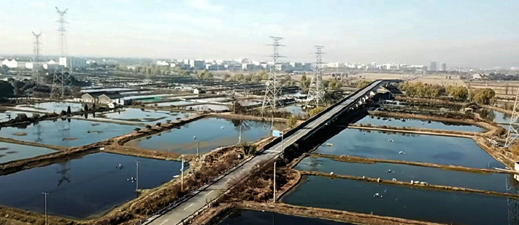 �����е������°����°���