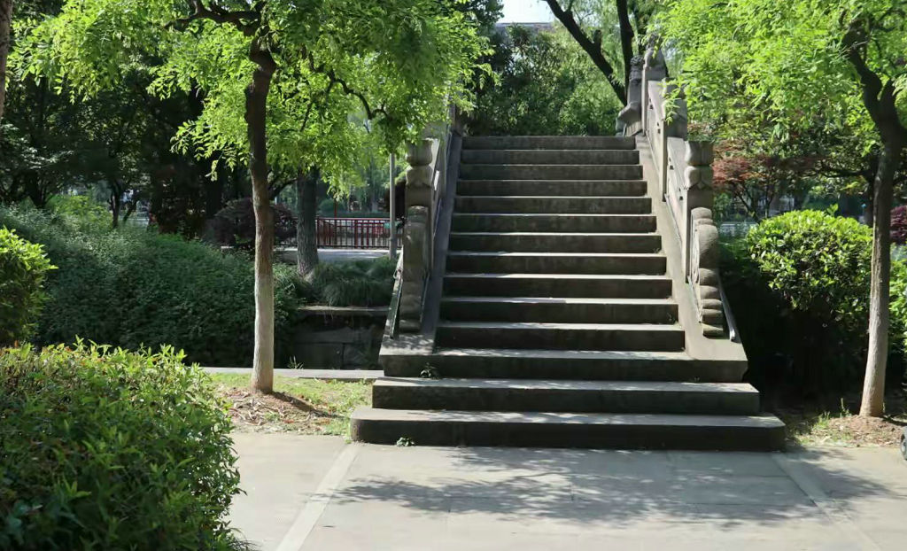 ����ͨ����