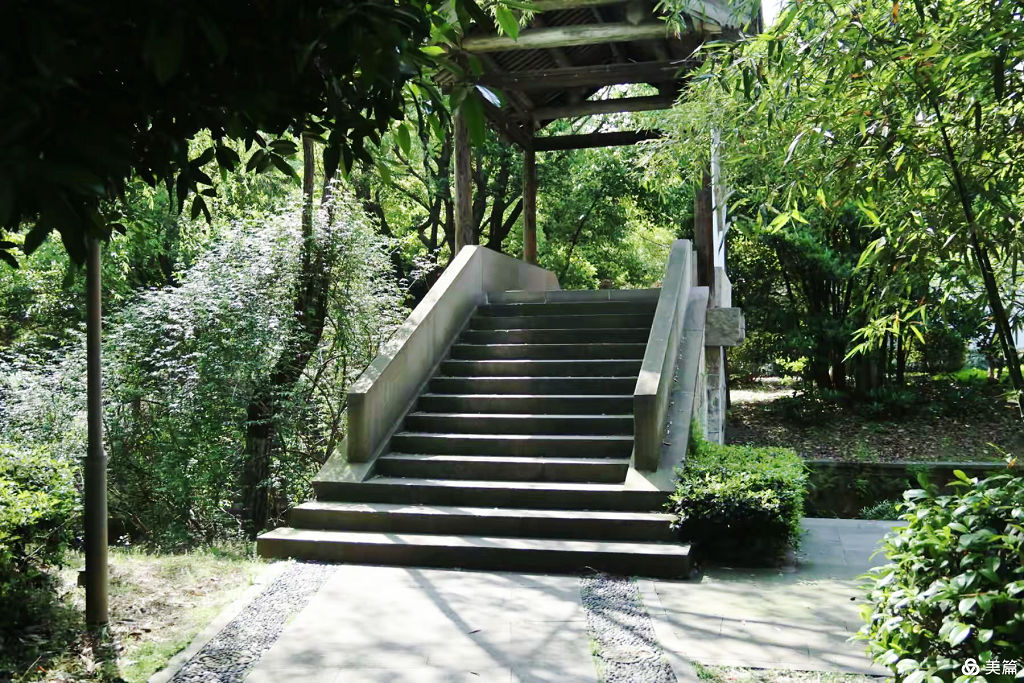 ����ͤ��