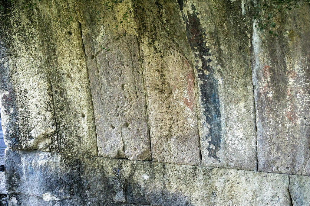 ���������Ź������ڹ���