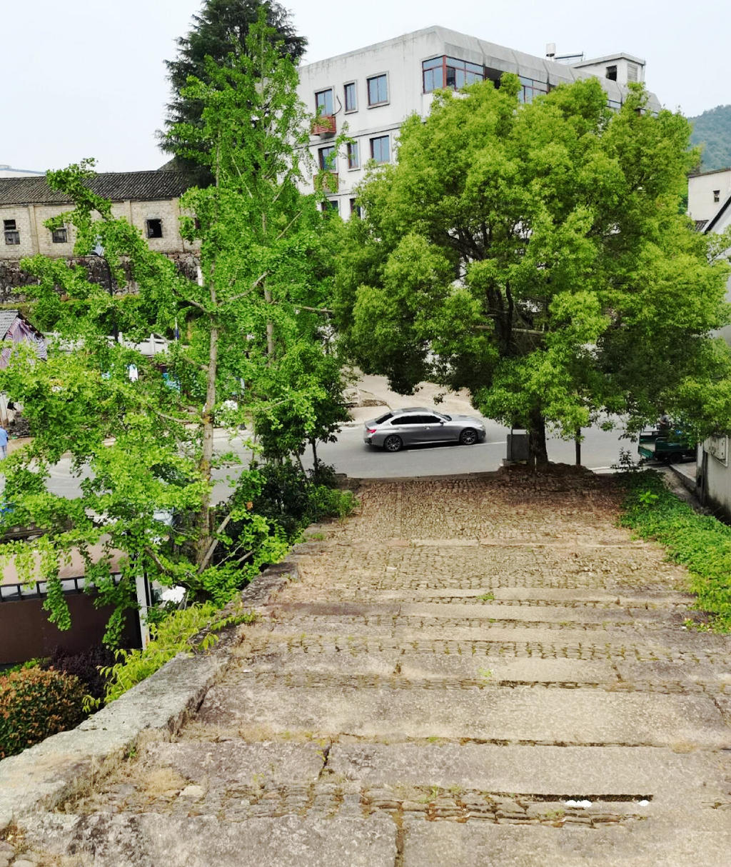 �²���С���������