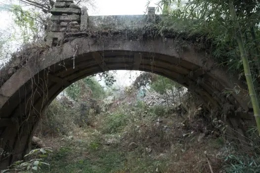 ɾع··