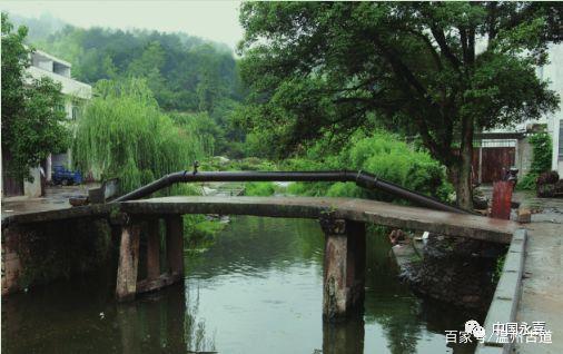 永嘉县枫林镇黄桥