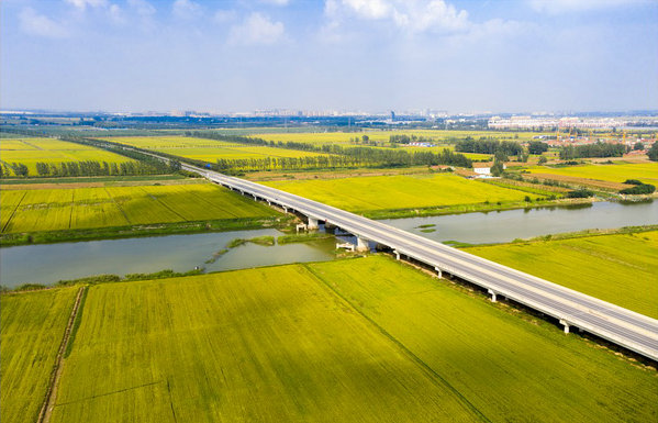 ����������Ӵ���