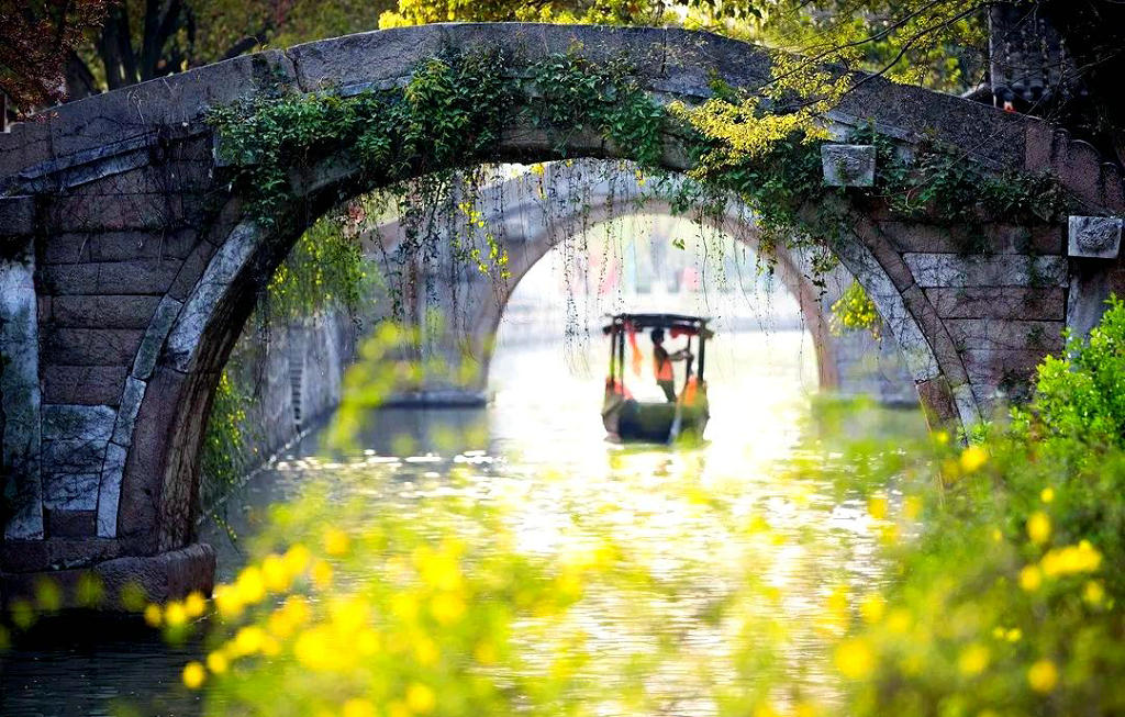 ������ľ����������