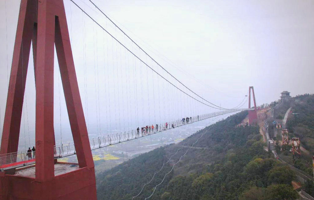 �����л�ʿ�����岣����