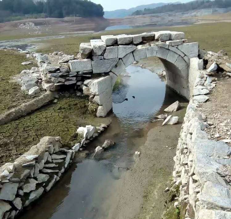 ϸɹ