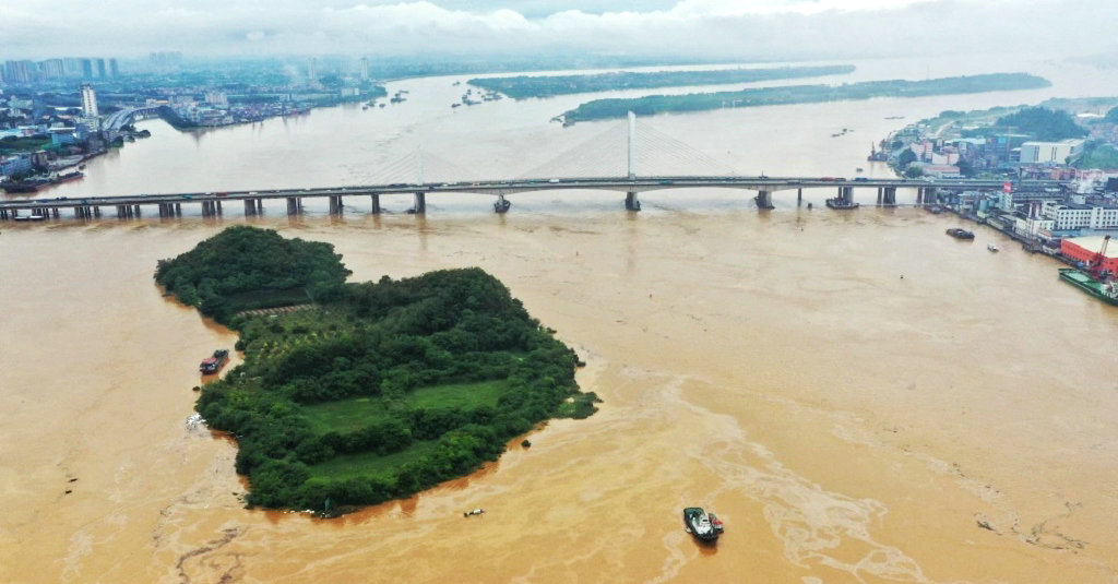 �㶫ʡ�Ž�����