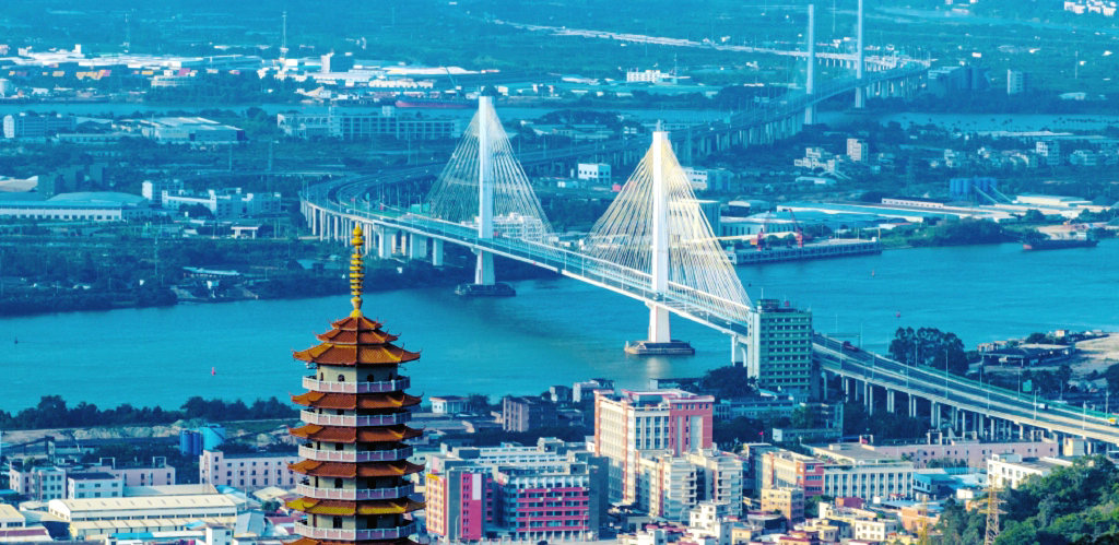 �����н�������