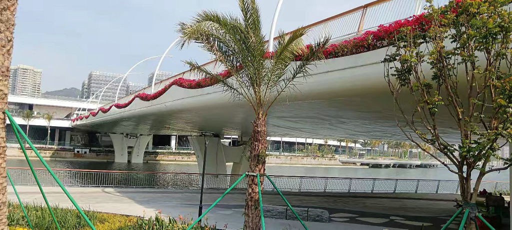 香洲区横琴镇双双桥