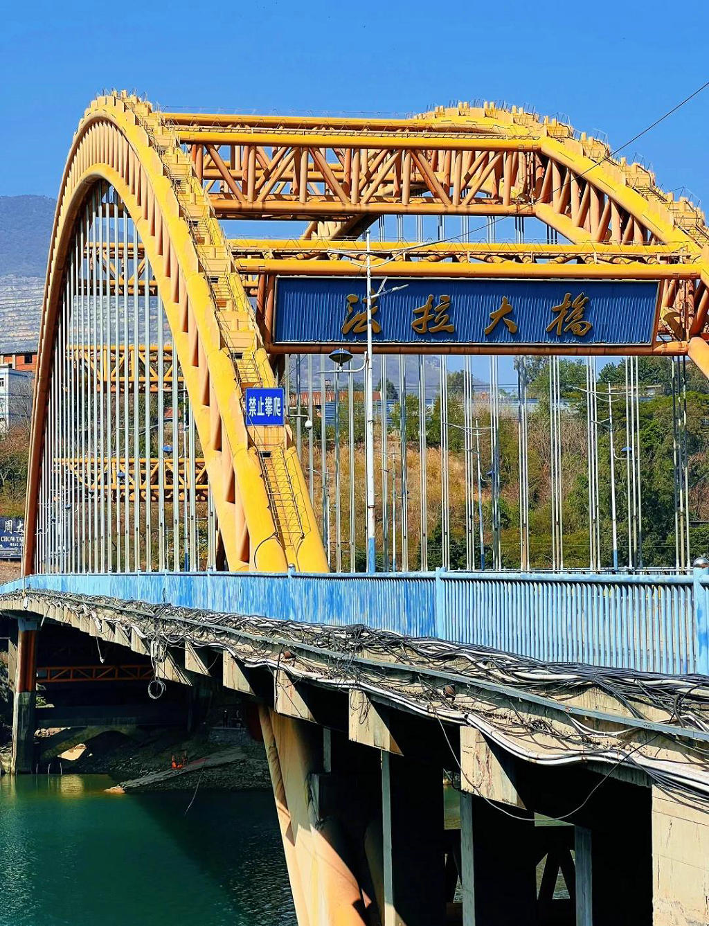 ��֦���з�������