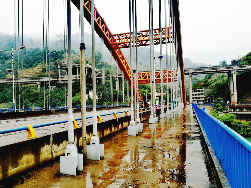 ��֦���з�������