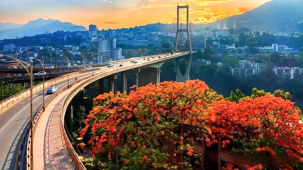 ��֦���б��ݸڴ���