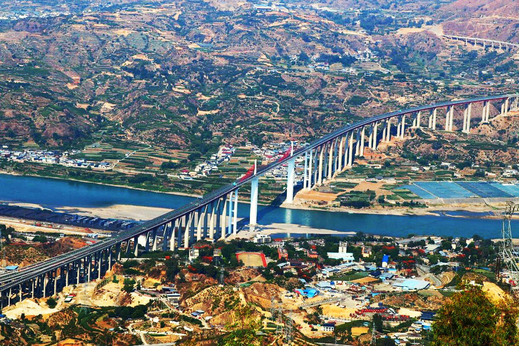 ��֦���з��Ѹ���������