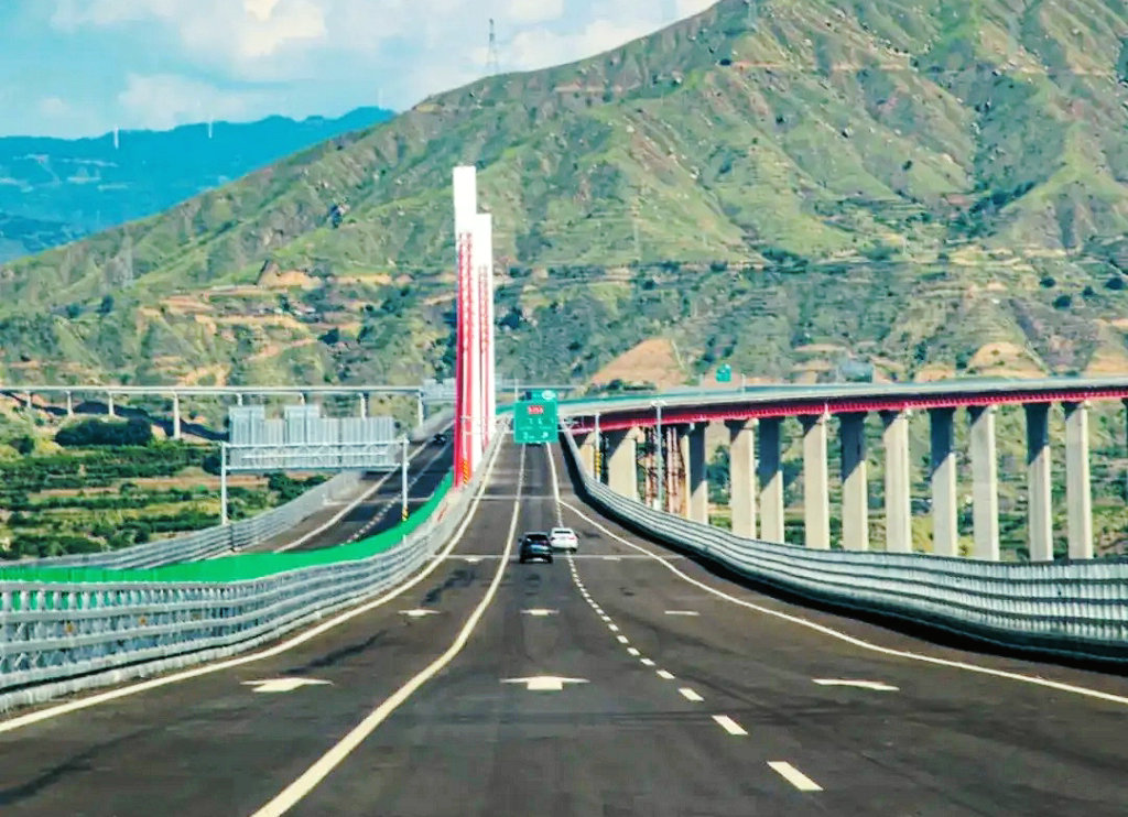 ��֦���з��Ѹ���������