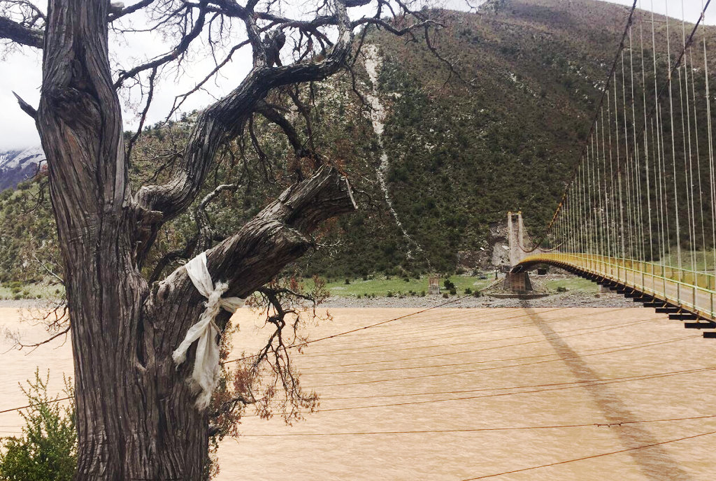 �������ζ�������ͨ�����