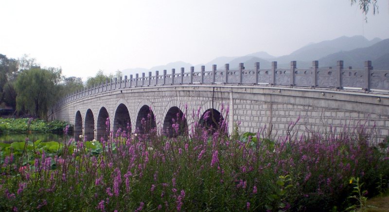 馹馻