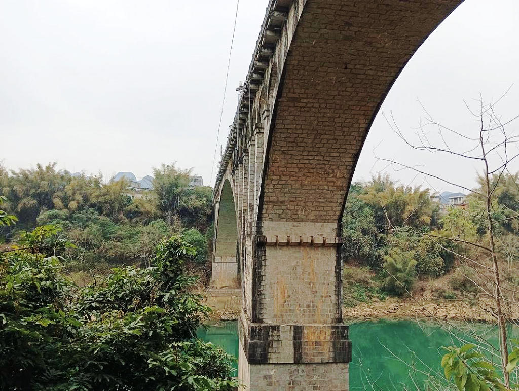 ������ɴ���