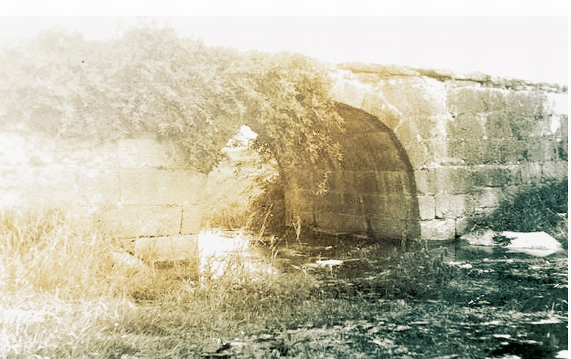 ˱ŹŹ׹