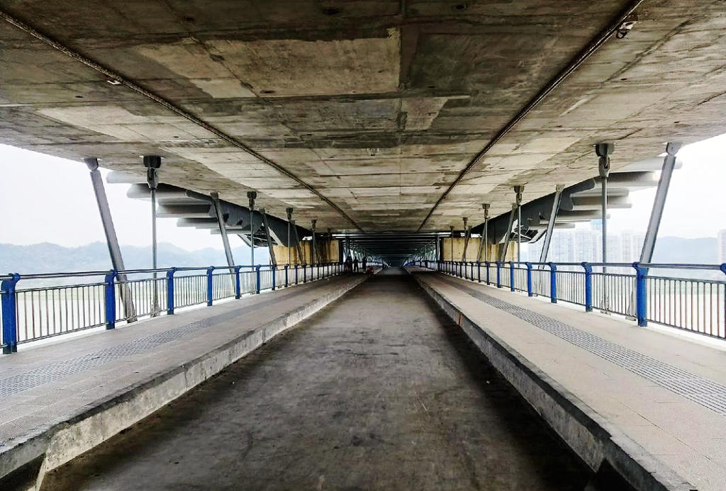 �����и�������